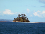 Beehive Island sm